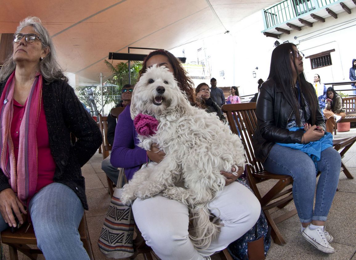 Primer concierto Pet Friendly en La FUGA
