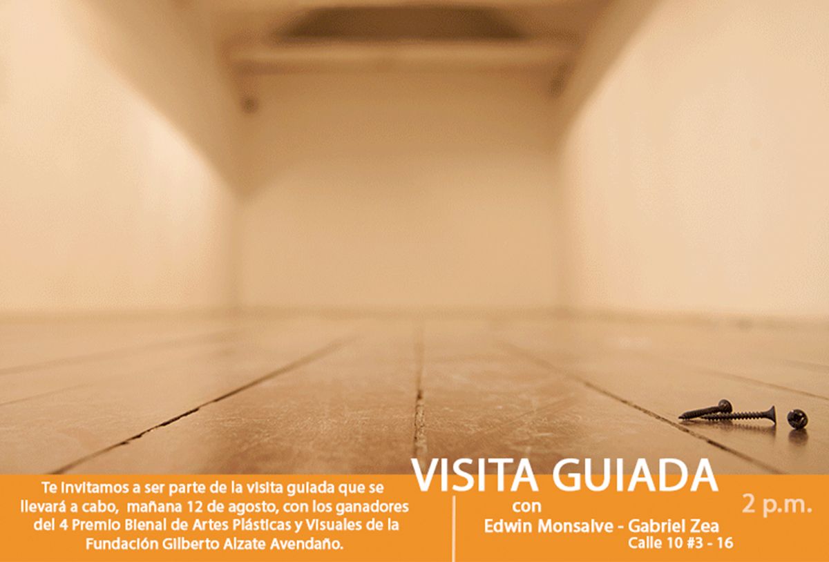 Beca 4 Premio Bienal de Artes Plásticas y Visuales