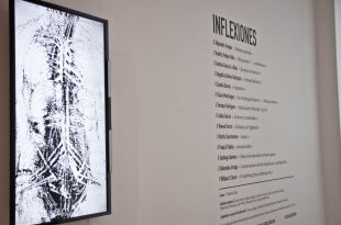 Muestra de Resultados Laboratorio Plataforma Bogotá