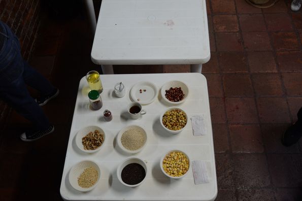Taller Comida - El fin de la excepción humana FUGA