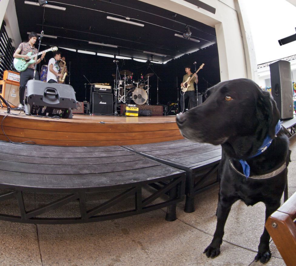 Primer concierto Pet Friendly en La FUGA