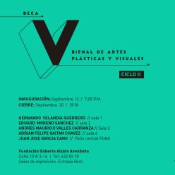 Beca V Bienal de Artes Plásticas y Visuales - Ciclo II